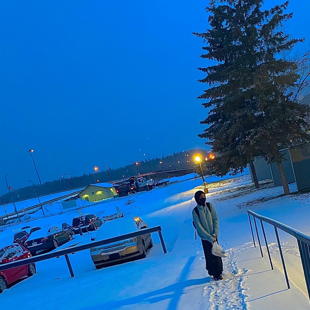 Meet your Posher, Nafisa